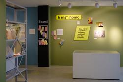 Exhibition Unboxed