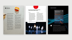 IEAI Annual Report 2025/2026