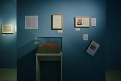 Exhibition Unboxed